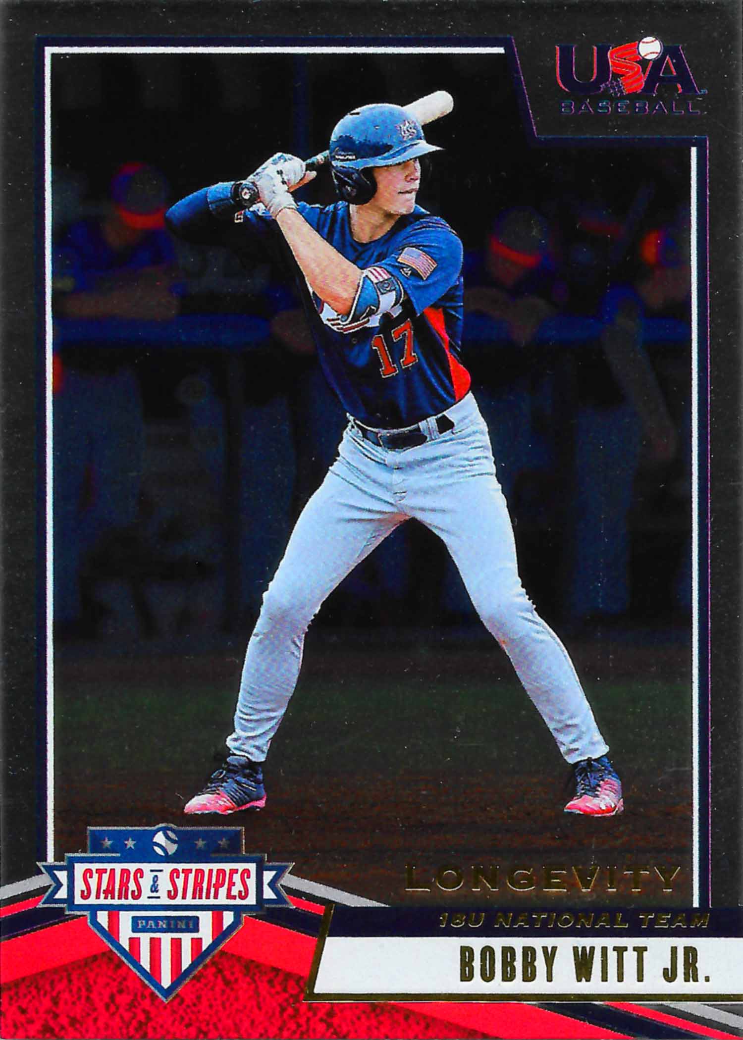 2019 USA Baseball Stars and Stripes Longevity