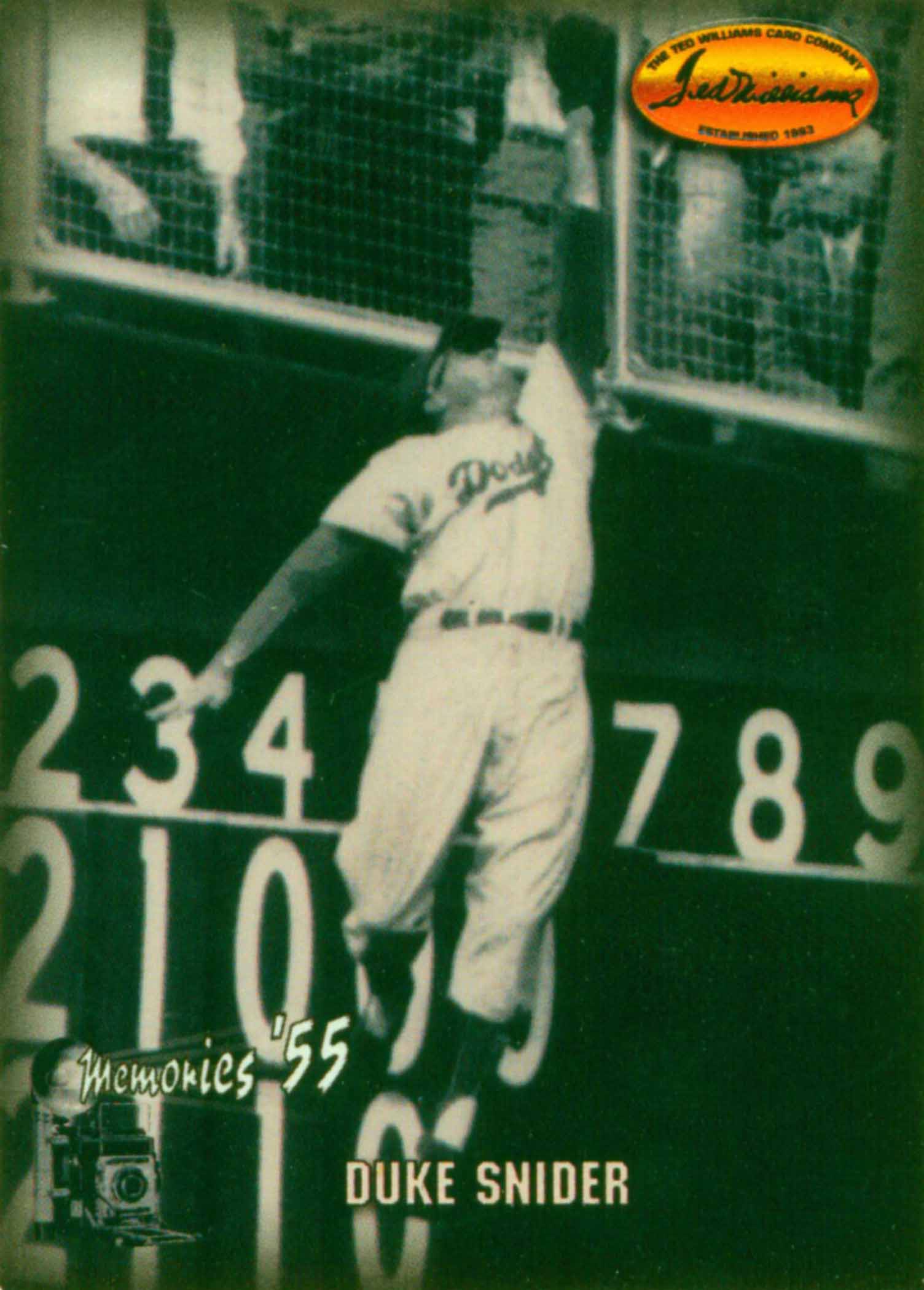 1993 Ted Williams Memories