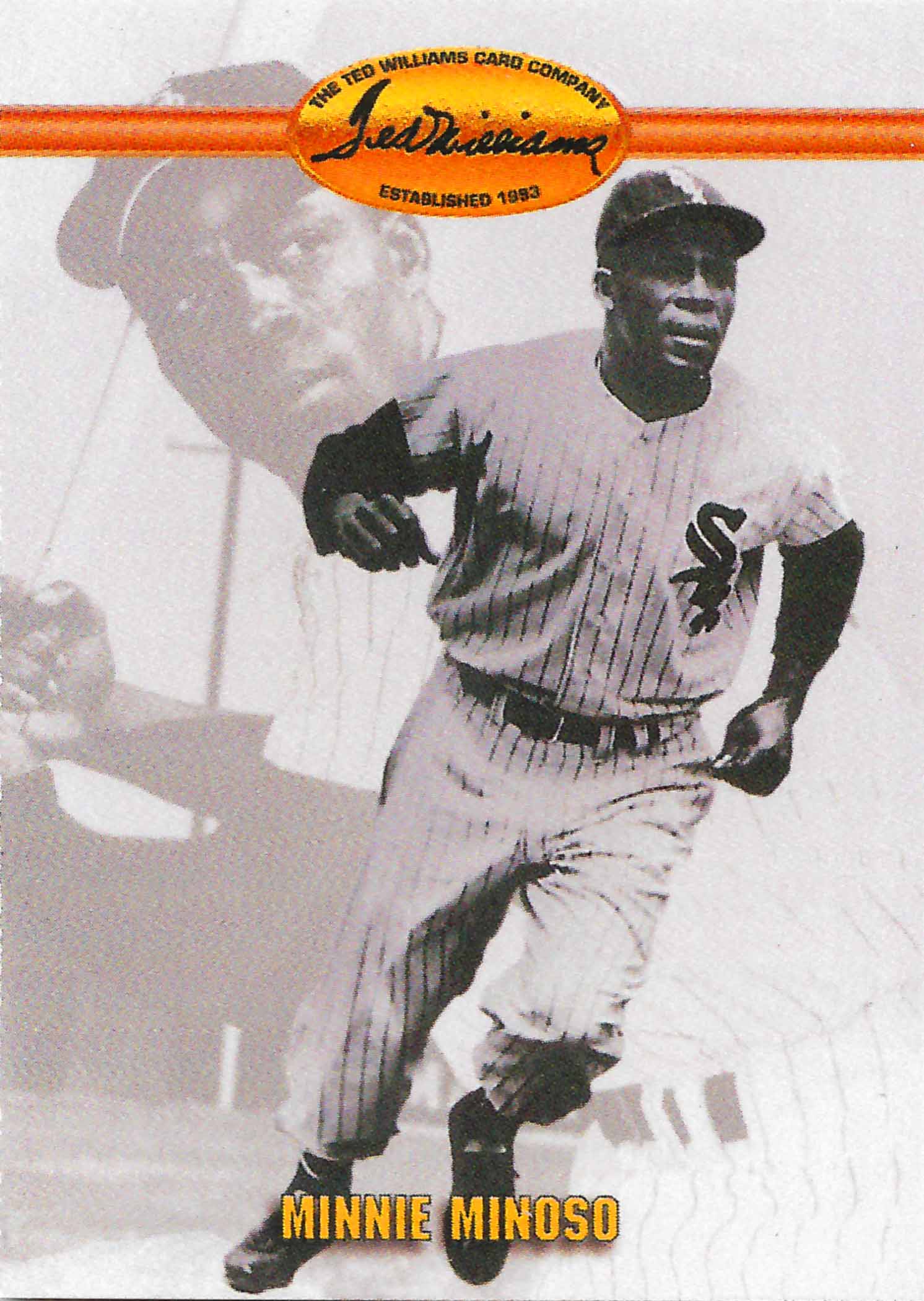1993 Ted Williams