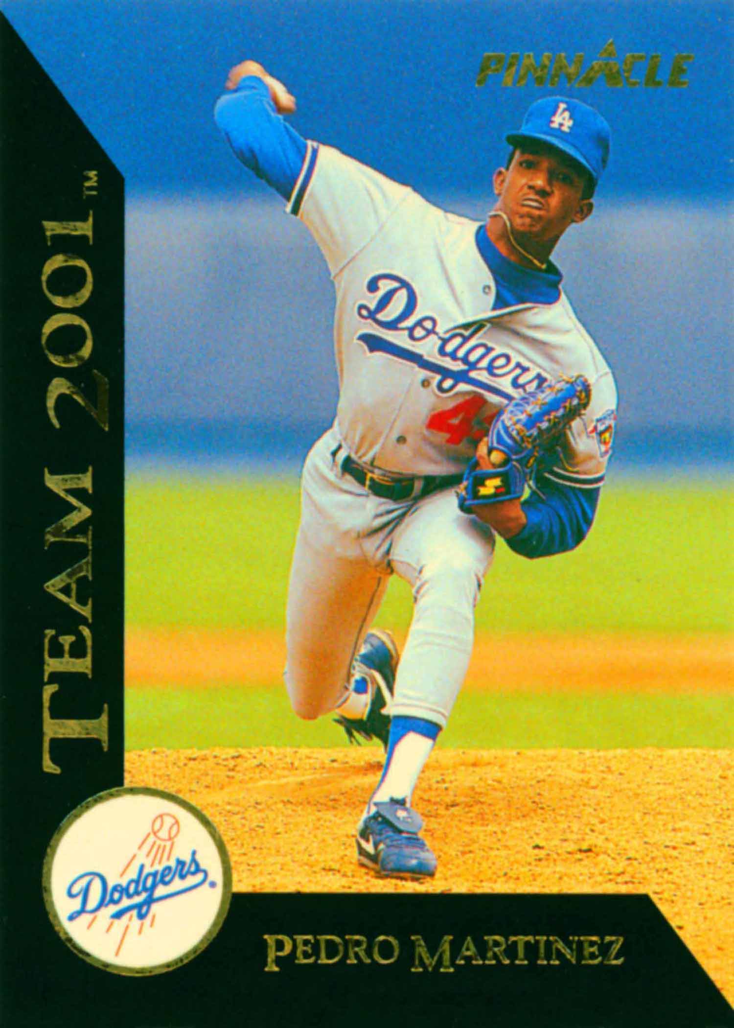 1993 Pinnacle Team 2001