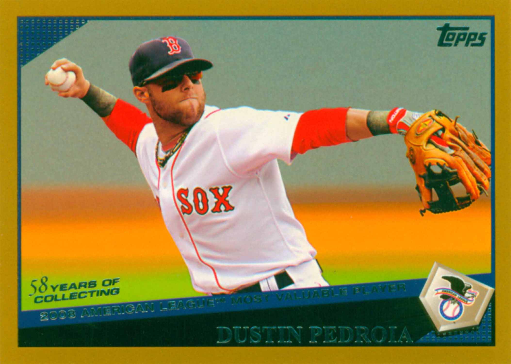 2009 Topps Gold Border Award Winner
