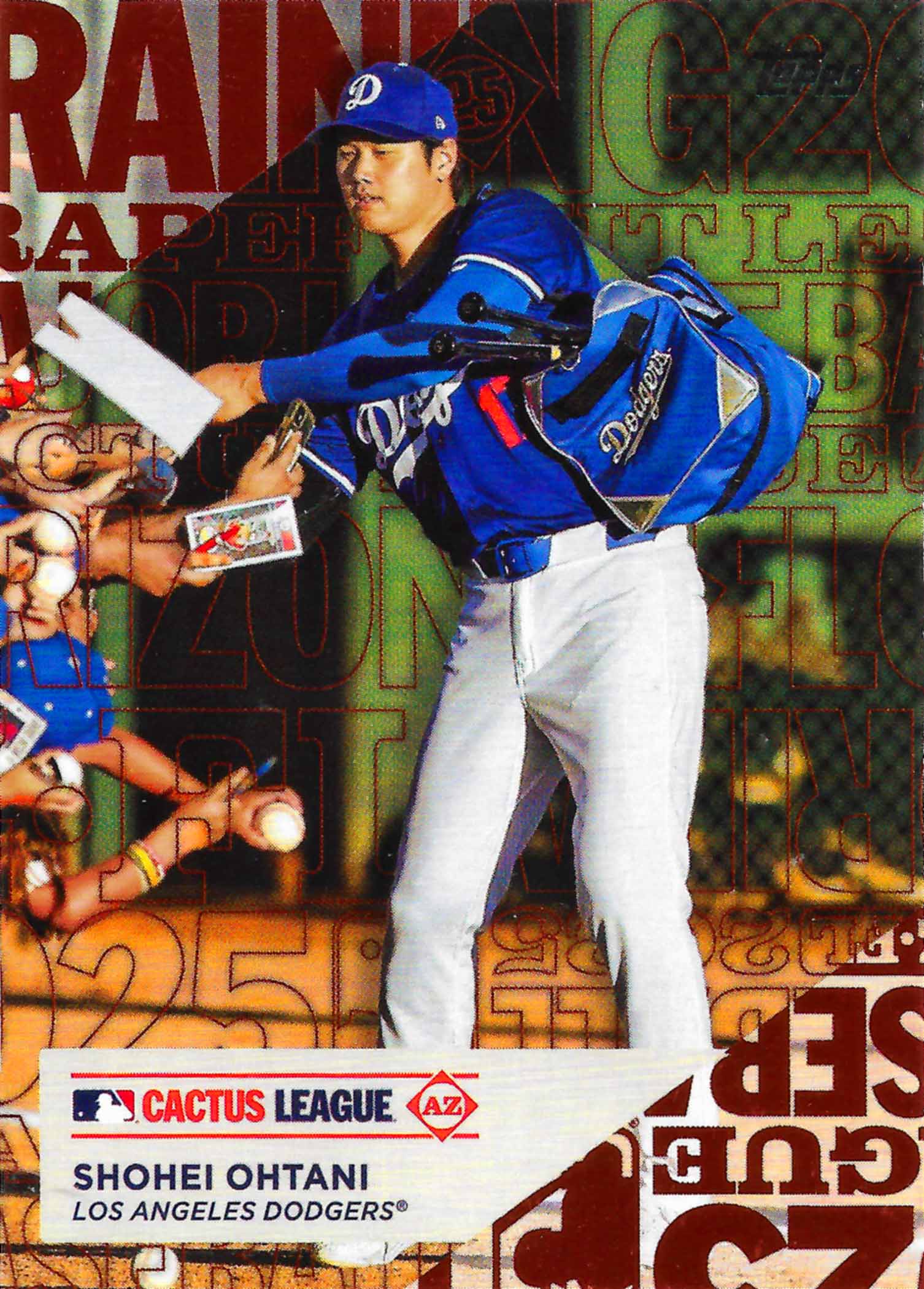 2025 Topps Training Grounds