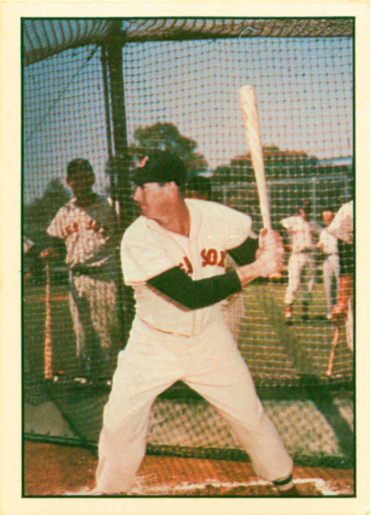 1981 TCMA 60's II