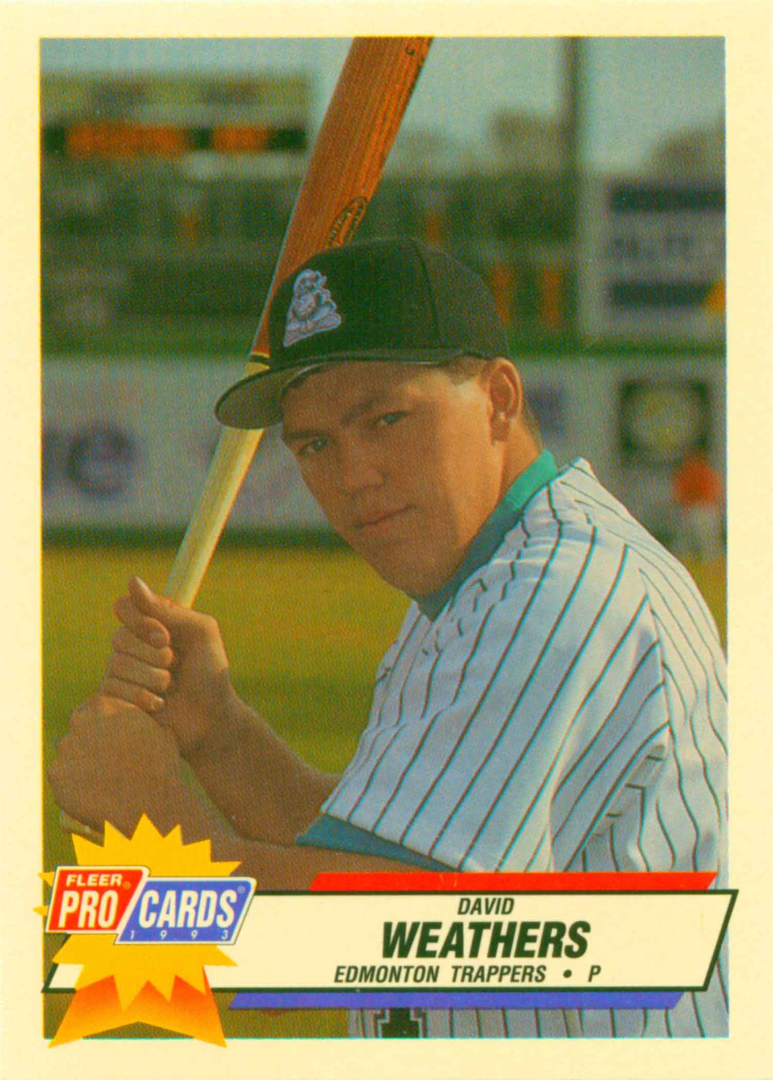 1993 Triple A All-Stars Fleer/ProCards